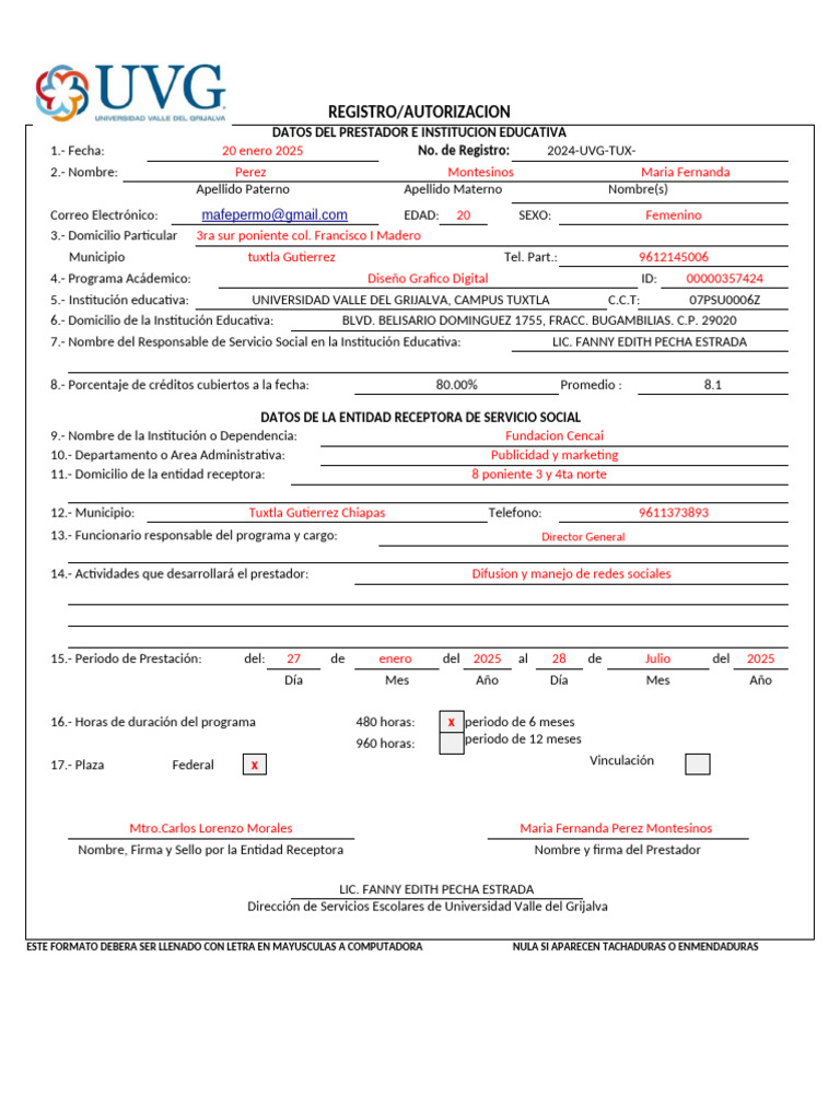 Formato Registro-Autorizacion Maffer | PDF