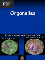 Organelles - Presentation With Graphics