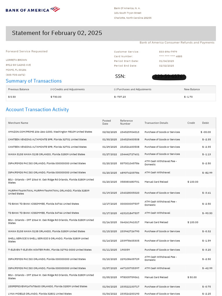 Redacted Bank Statement Example | PDF | Credit Card | Financial Technology