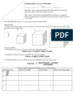 Surface To Volume Ratio Class Activity 2011-2012