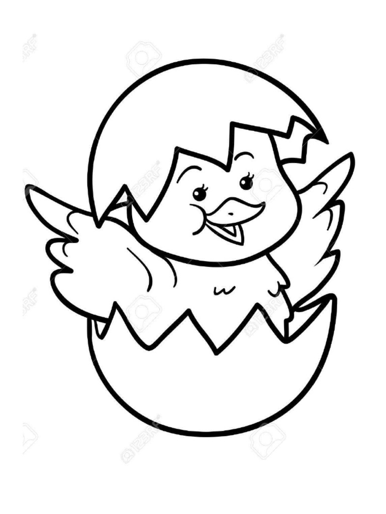 Pollito 20240704082151 | PDF