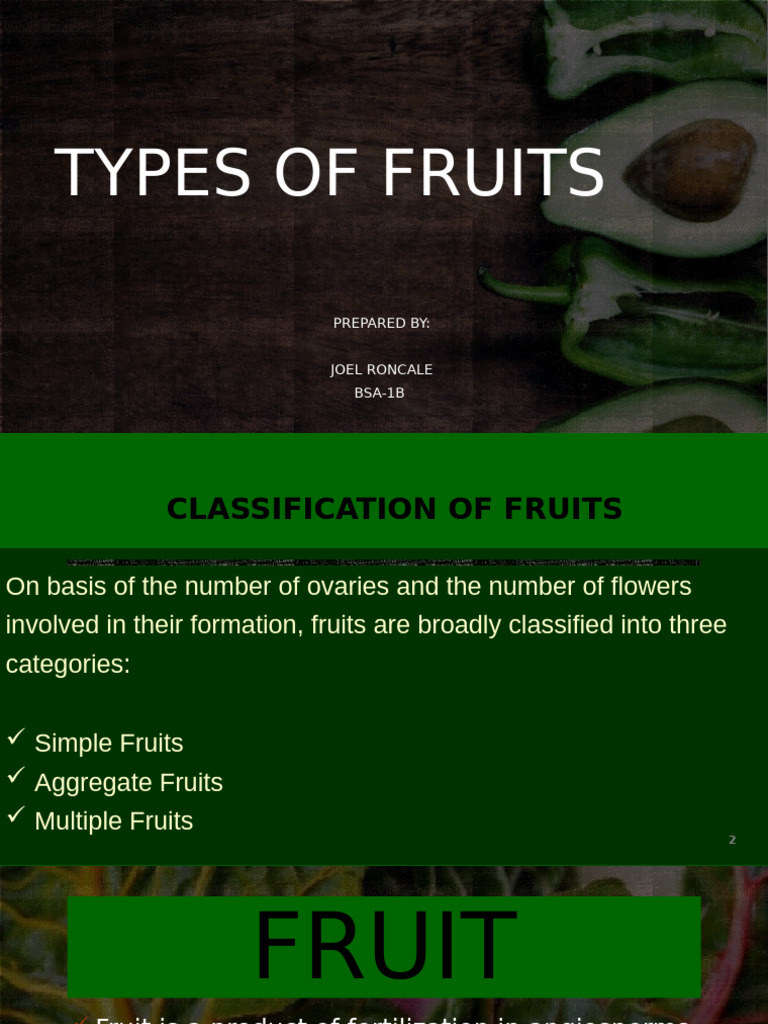Fruit Classification Overview | PDF