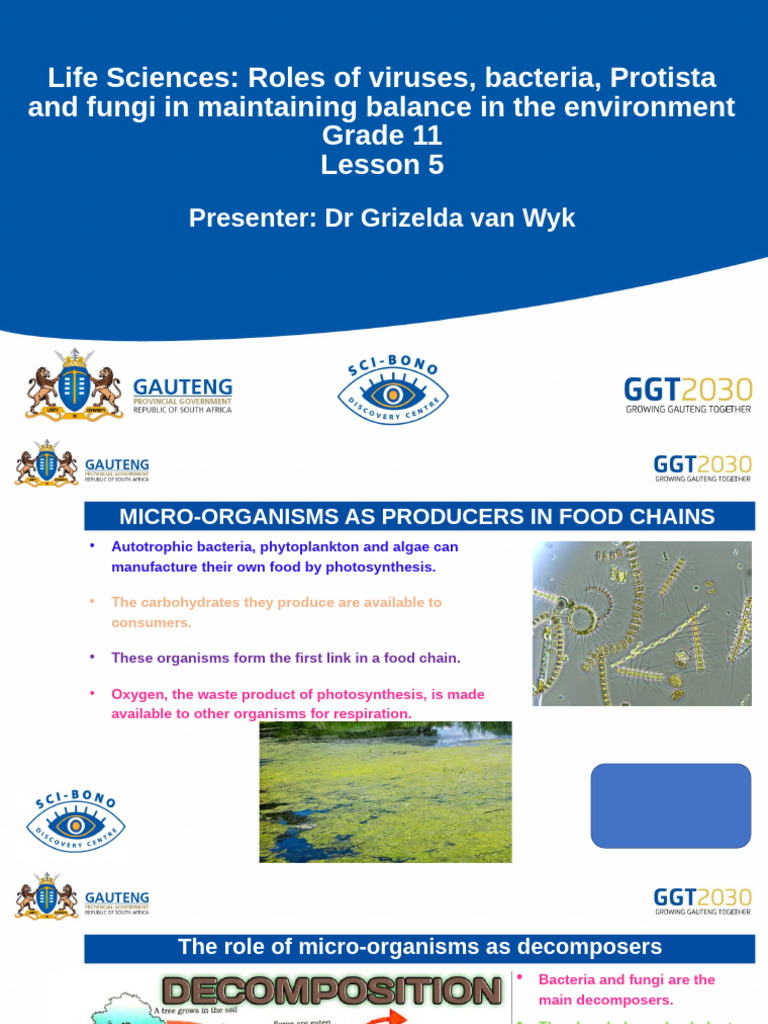 Microorganisms' Environmental Roles | PDF | Plants | Fungus