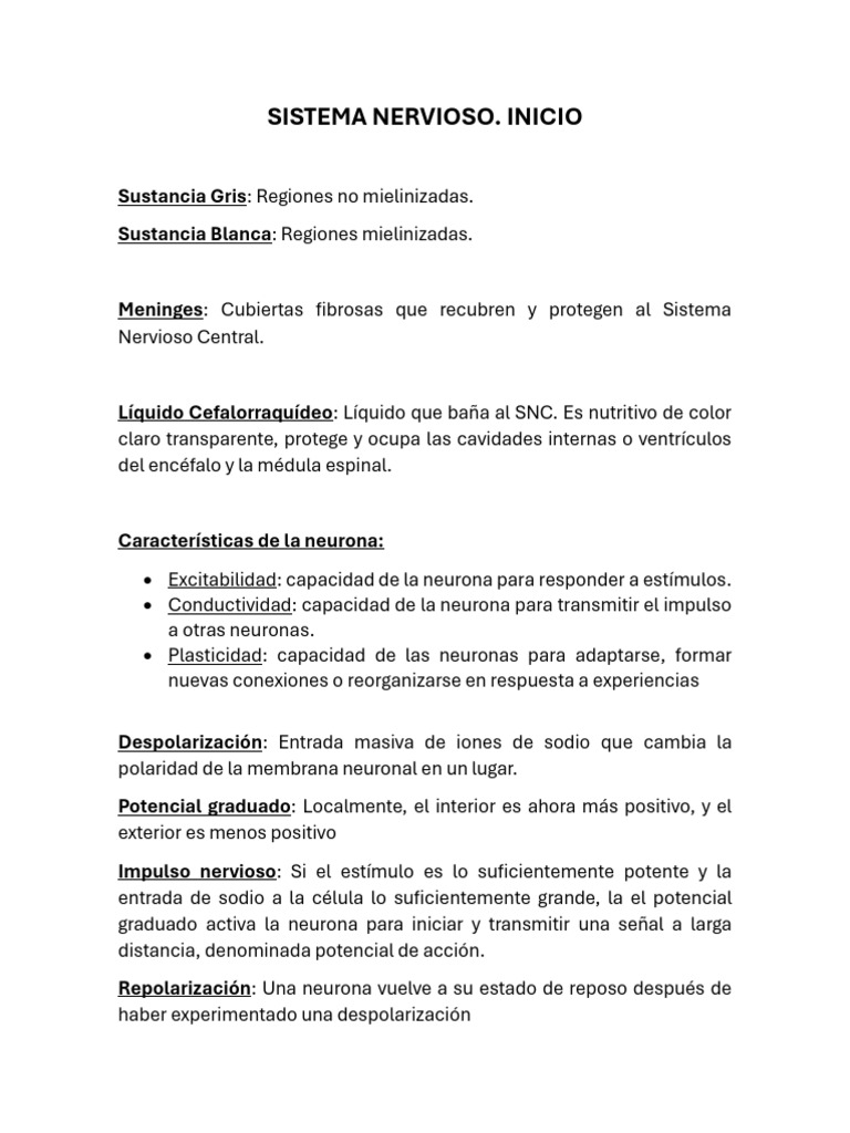 Estructura y Función del Sistema Nervioso | PDF | Sinapsis | Axon