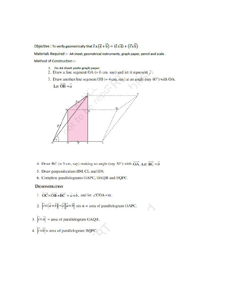 Activity 7 - Vectors | PDF