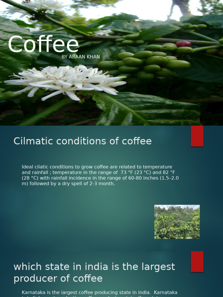 Coffee Production and Usage in India | PDF