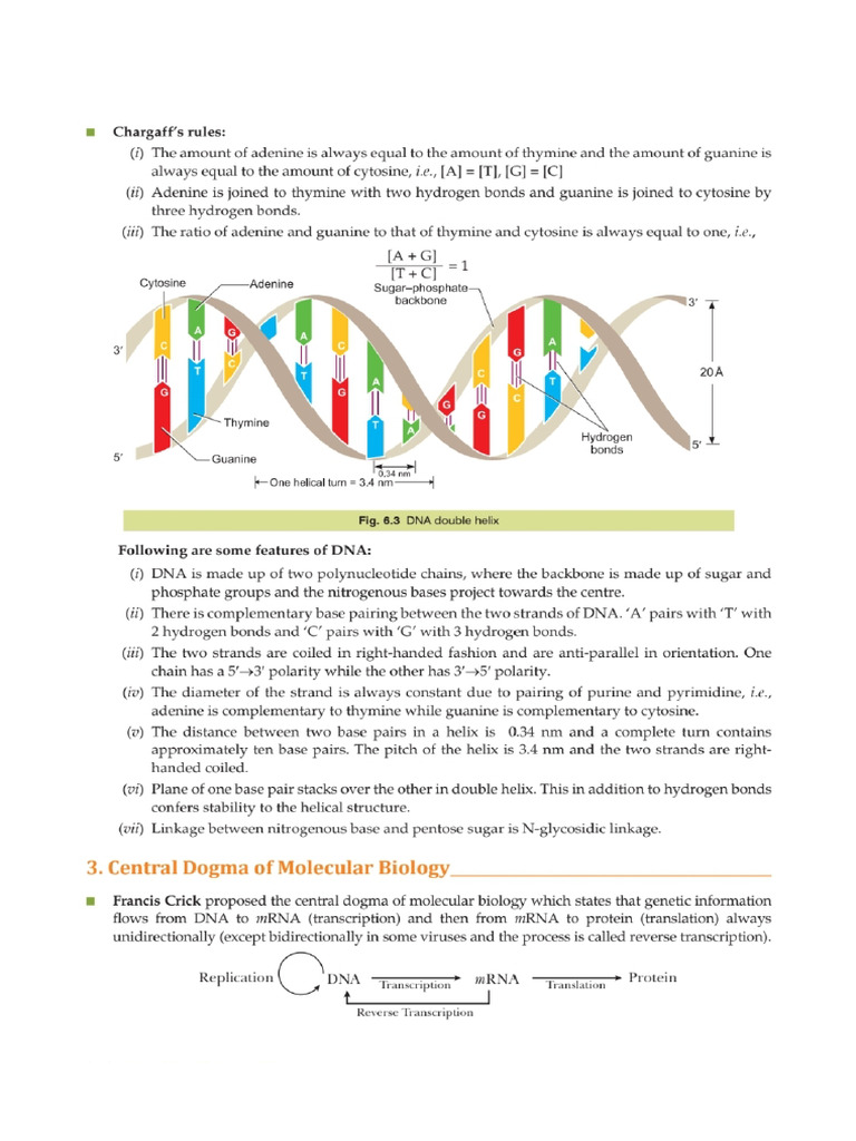 Dna | PDF