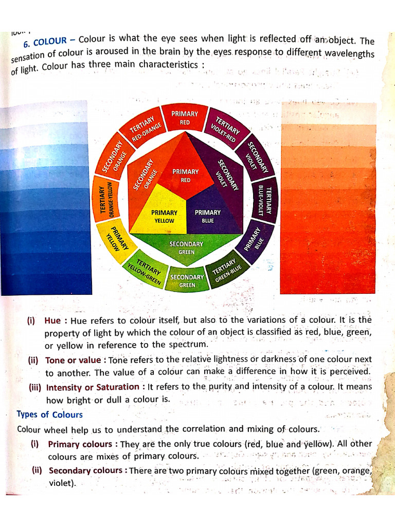 Class 12th Notes | PDF