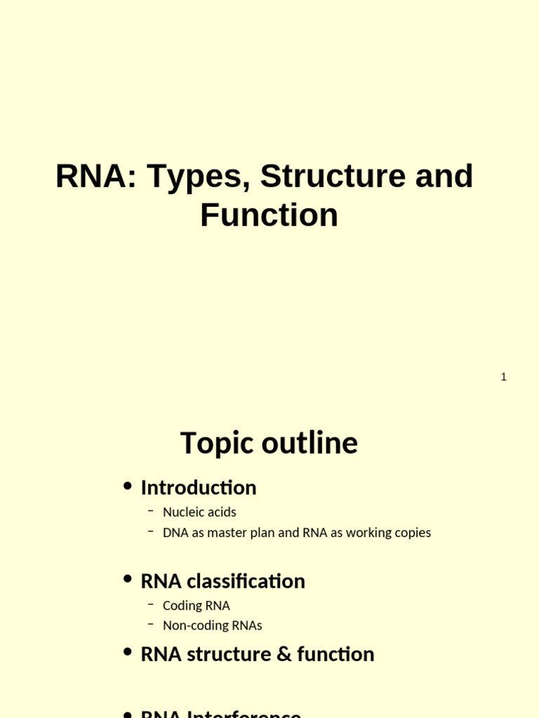 RNA Types, Structure, and Functions | PDF | Rna Interference | Rna