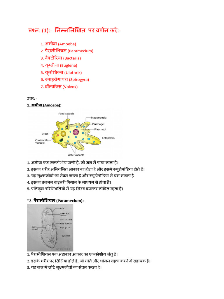 Bio Practical Paper Pdf