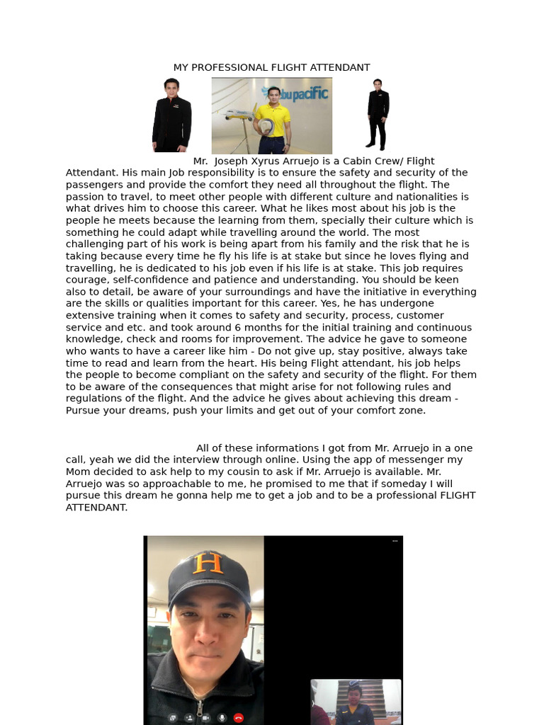 Insights from a Professional Flight Attendant | PDF