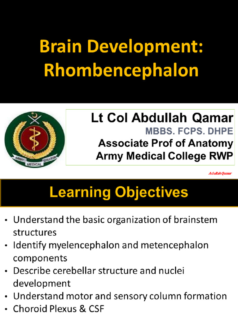 Development of Nervous System 2 | PDF