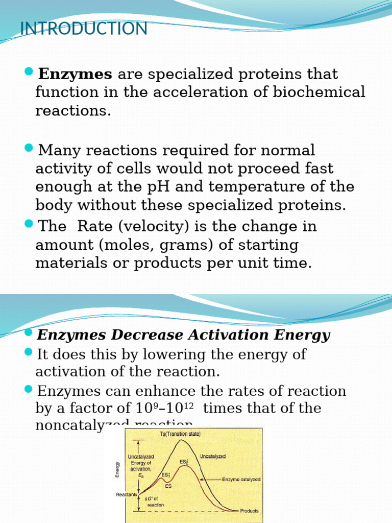 Enzyme Functions and Characteristics | PDF | Enzyme | Cofactor ...