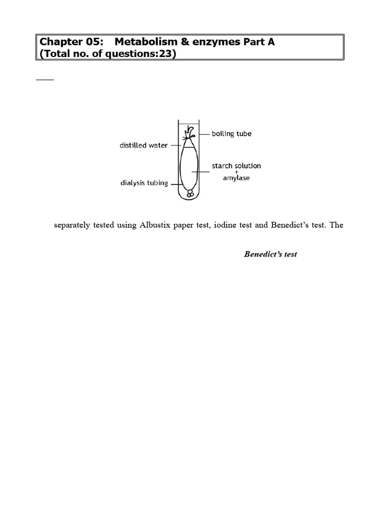 Enzyme Activity and Metabolism Questions | PDF | Catalase | Enzyme