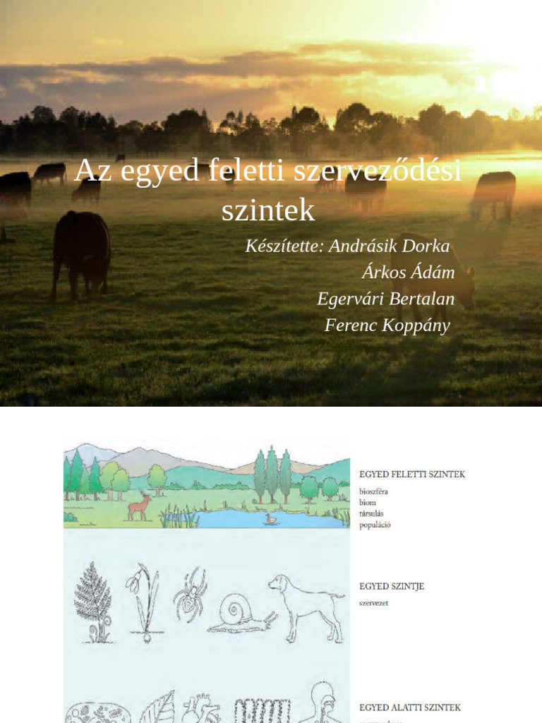 Az egyed feletti szerveződési szintek | PDF