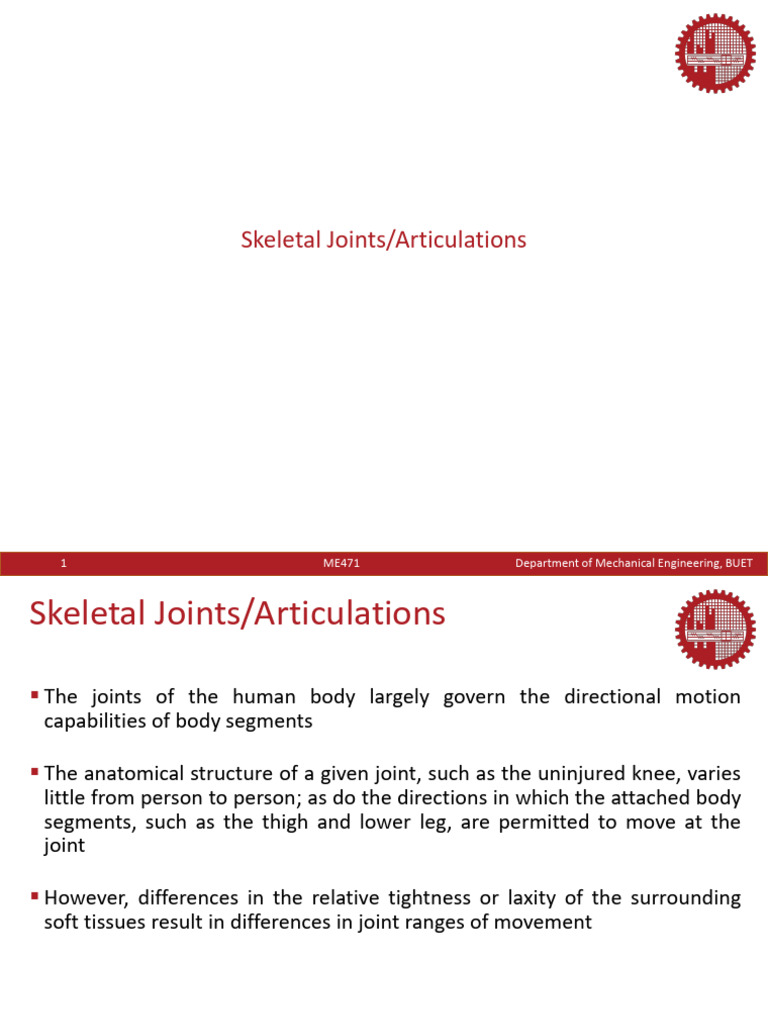 Understanding Human Skeletal Joints | PDF | Knee | Anatomical Terms Of ...