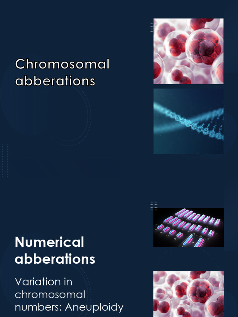Understanding Chromosomal Aberrations | PDF | Meiosis | Ploidy