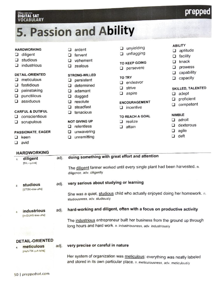 Vocab Unit 005 | PDF