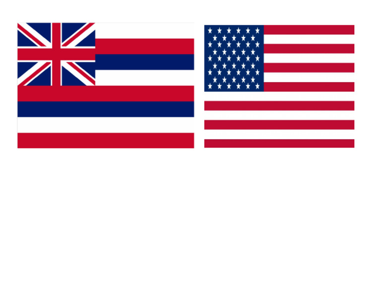 Flag | PDF