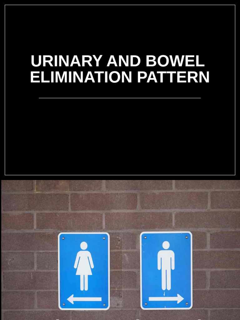 Urinary and Bowel Elimination Patterns Guide | PDF | Urinary System ...