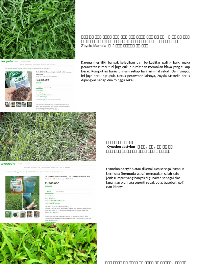 Presentation Rumput Lap. | PDF