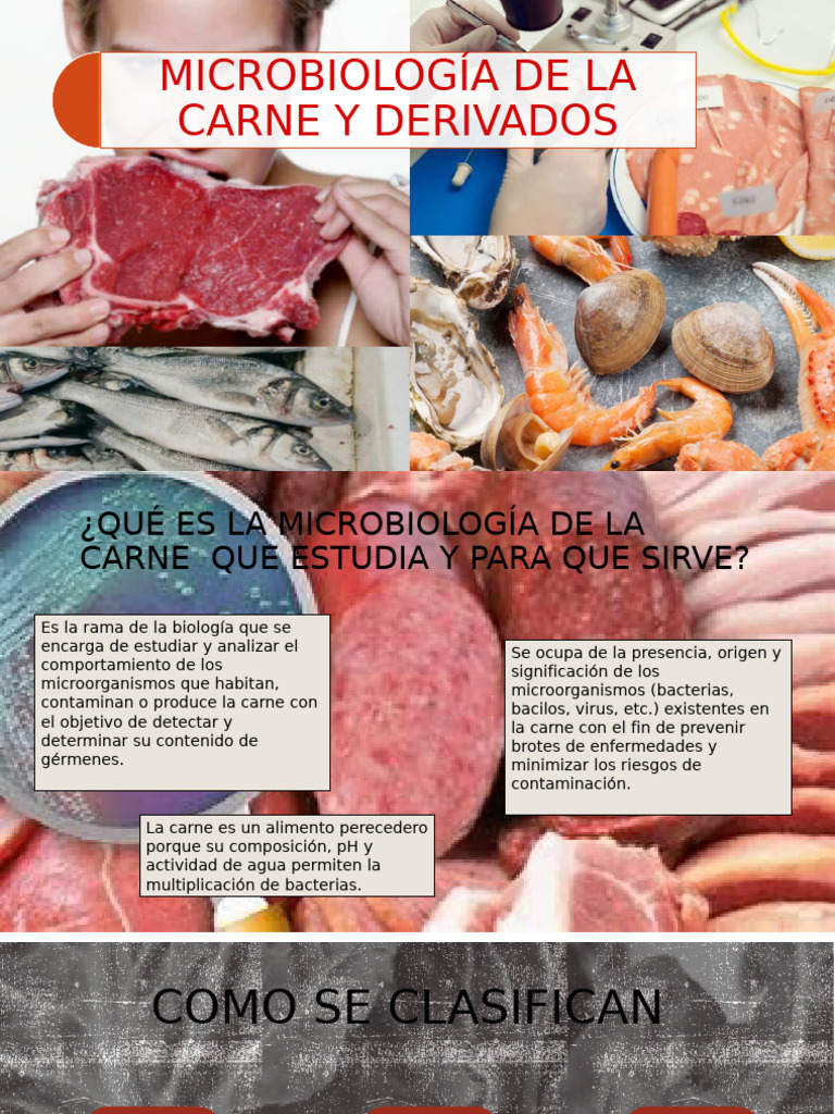 Microbiología de la Carne y Derivados | PDF | Carne | Alimentos