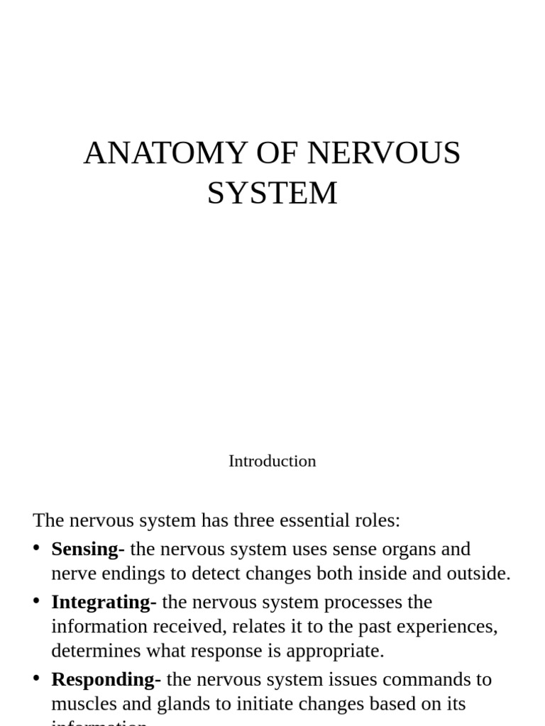 Nervous System | PDF | Motor Neuron | Cerebrospinal Fluid