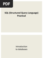 SQL Practical