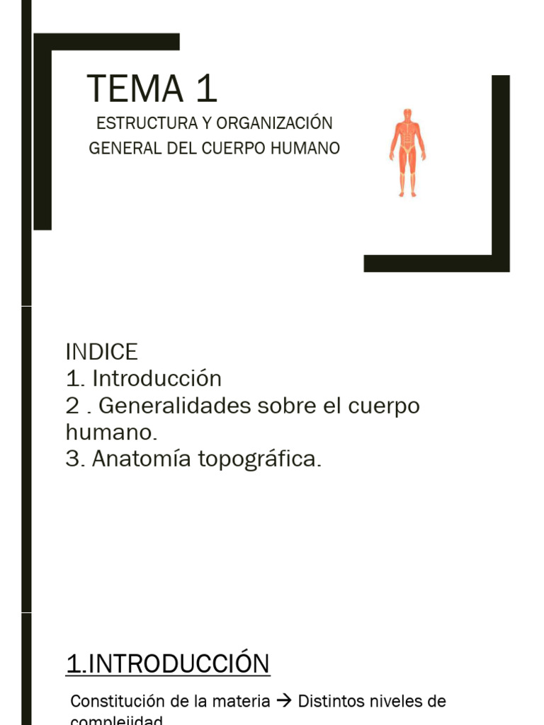 Estructura y Organización del Cuerpo Humano | PDF | Biomoléculas ...