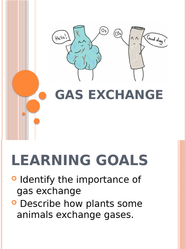 LESSON3_GASEXCHANGE PDF Respiratory System Lung