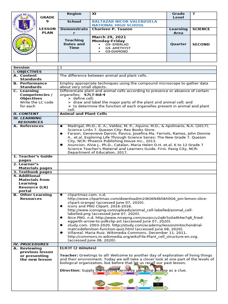 Lesson Plan Plant and Animal Cells PDF Cell (Biology) Endoplasmic