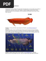 Download Mengenal Jenis Arwana Indonesia by Andi Saja SN82558669 doc pdf