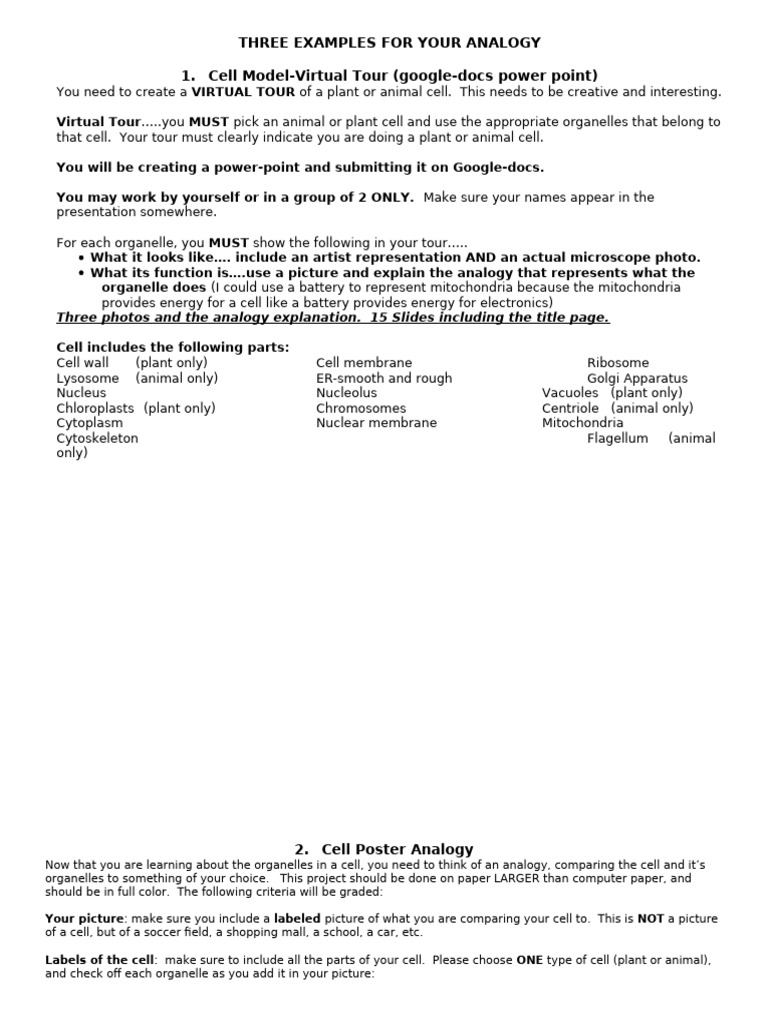 Cell Analogy Projects Guide | PDF | Cell (Biology) | Organelle