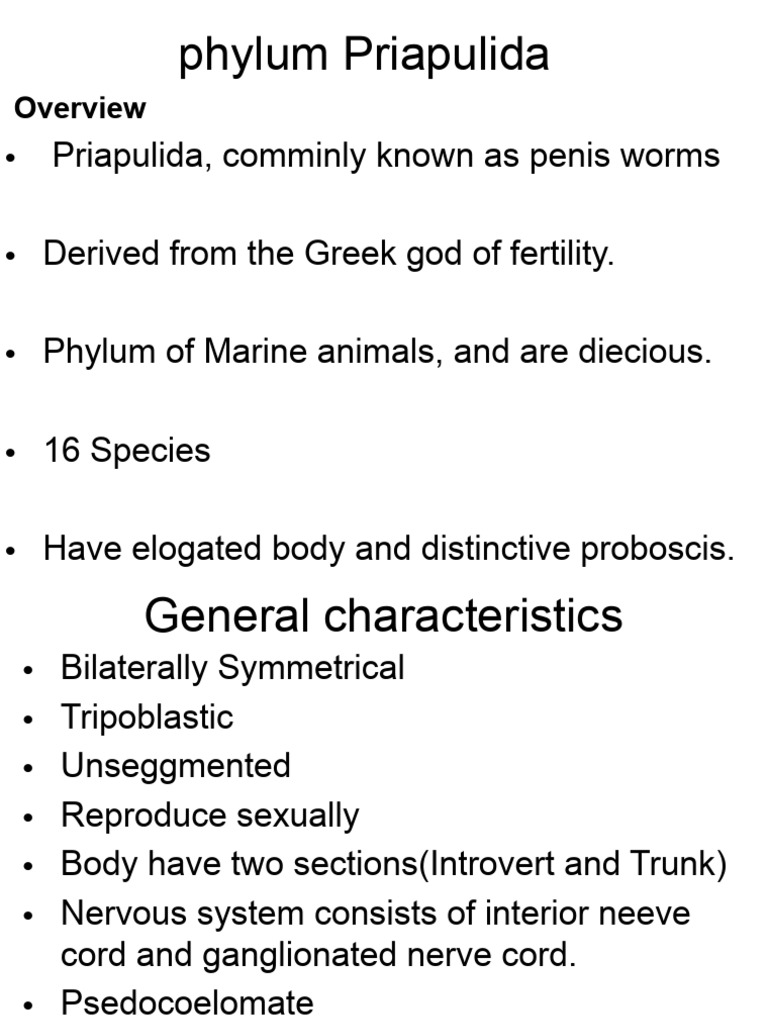 Overview of Priapulida (Penis Worms) | PDF