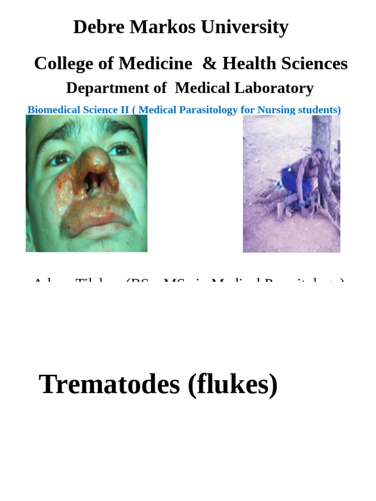 Understanding Trematodes and Schistosomiasis | PDF | Medical Specialties
