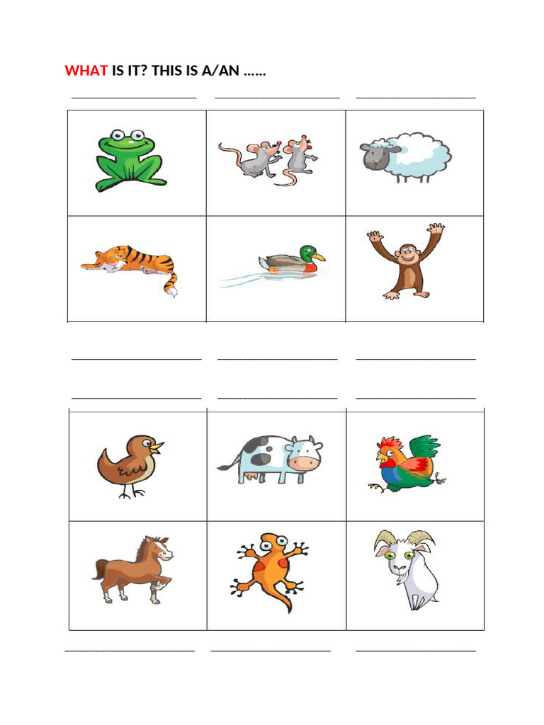 Animals | PDF