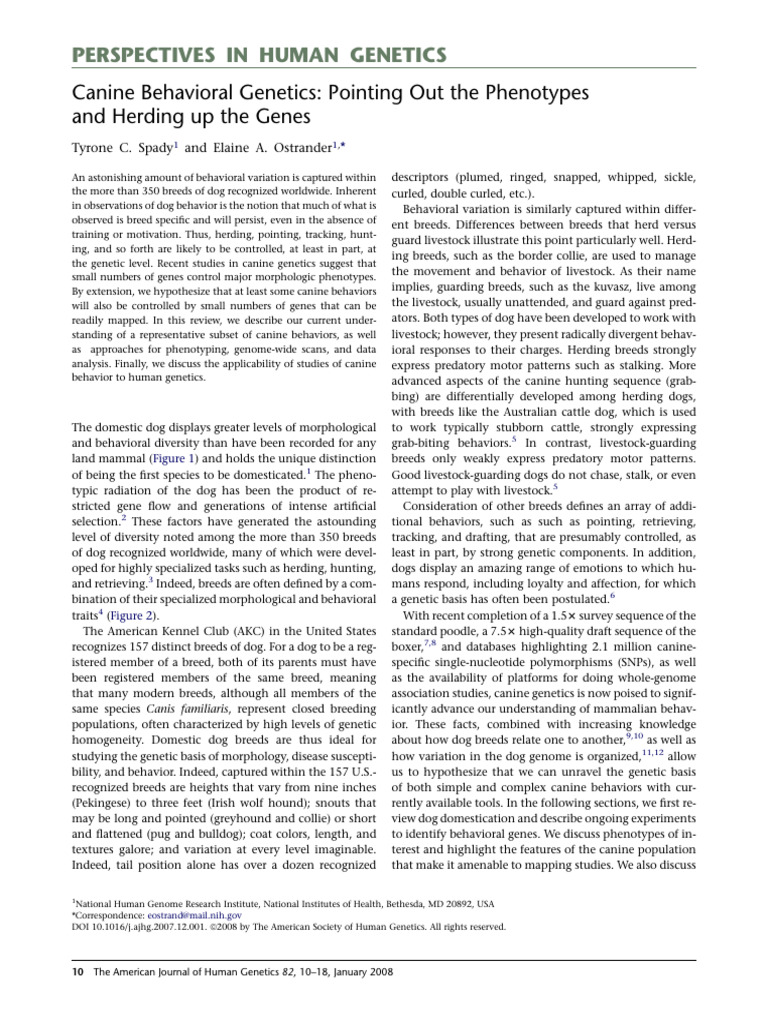 Canine Genetics and Behavior Insights | PDF | Dog Breeds | Dogs