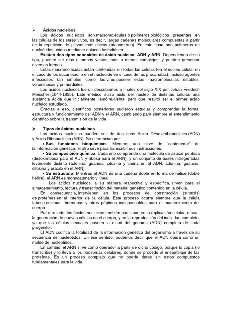 Estructura y funciones de ácidos nucleicos | PDF | Rna | Adn