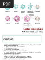 Tipos de Morte Celular: Apoptose e Necrose | PDF | Necrose | Apoptose