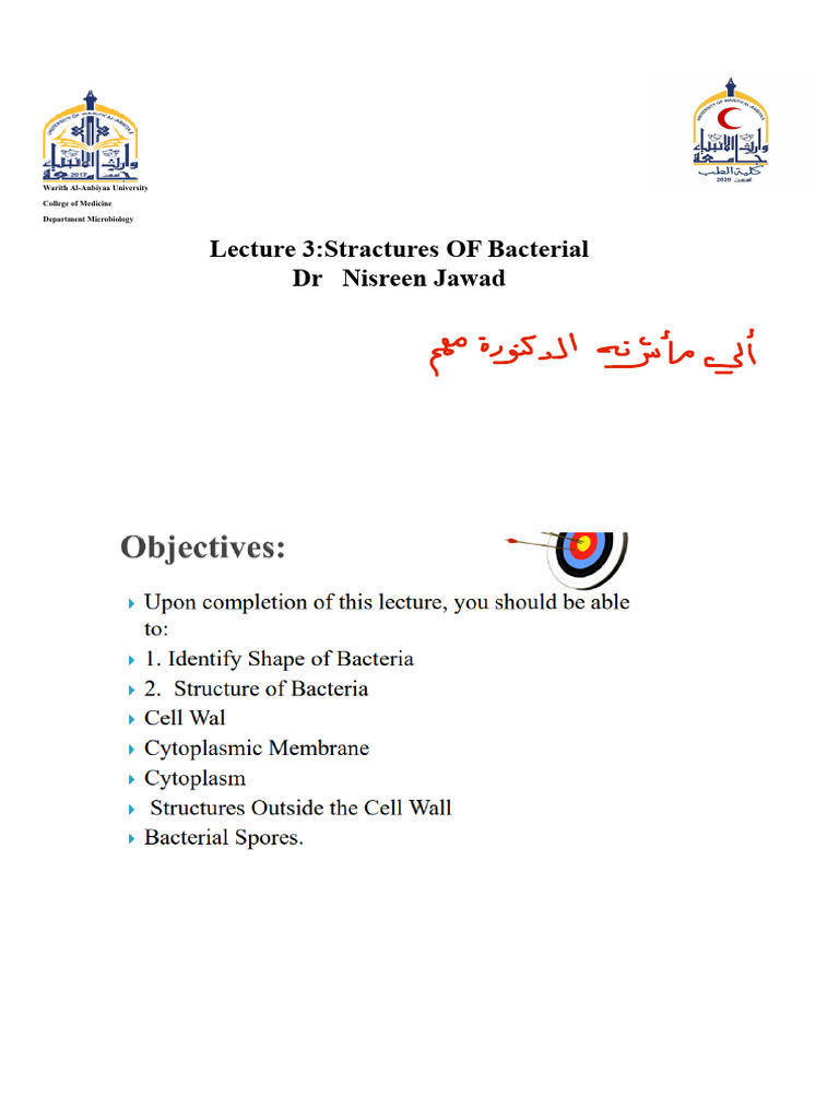 Bacteria Chapter 2 Pdf