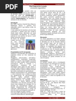 oe_lavanda_aromaterapia