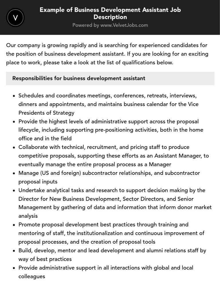 Business Development Assistant Role | PDF | Information | Decision Making