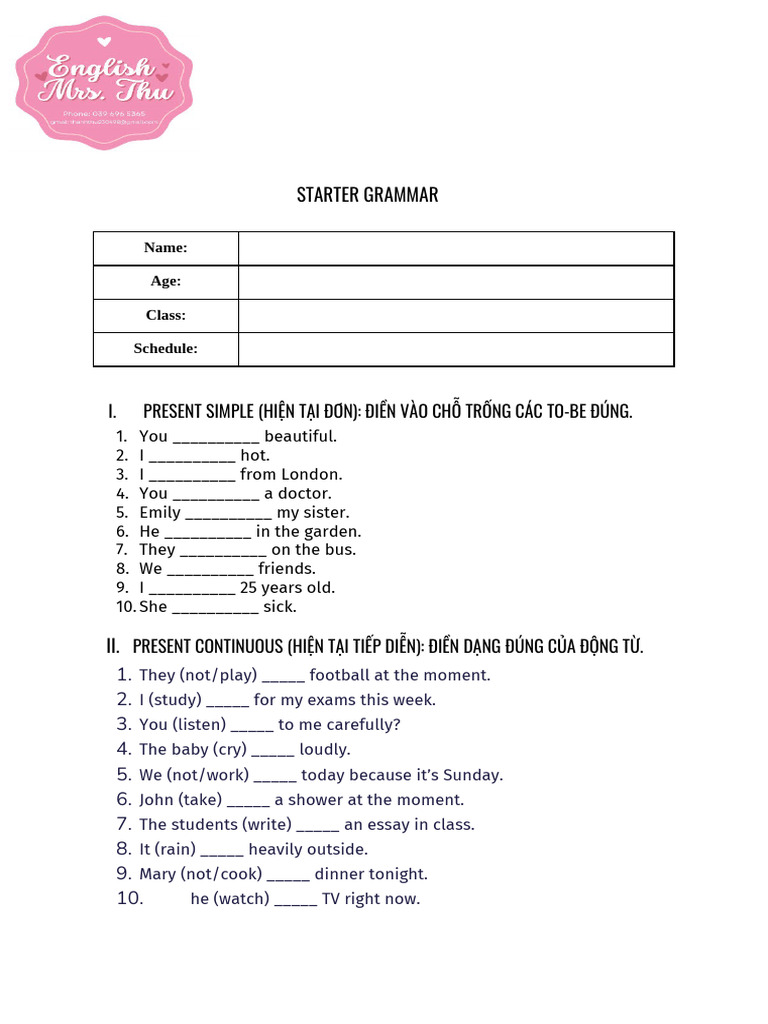 STARTER GRAMMAR | PDF