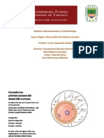 Psicofisiologia