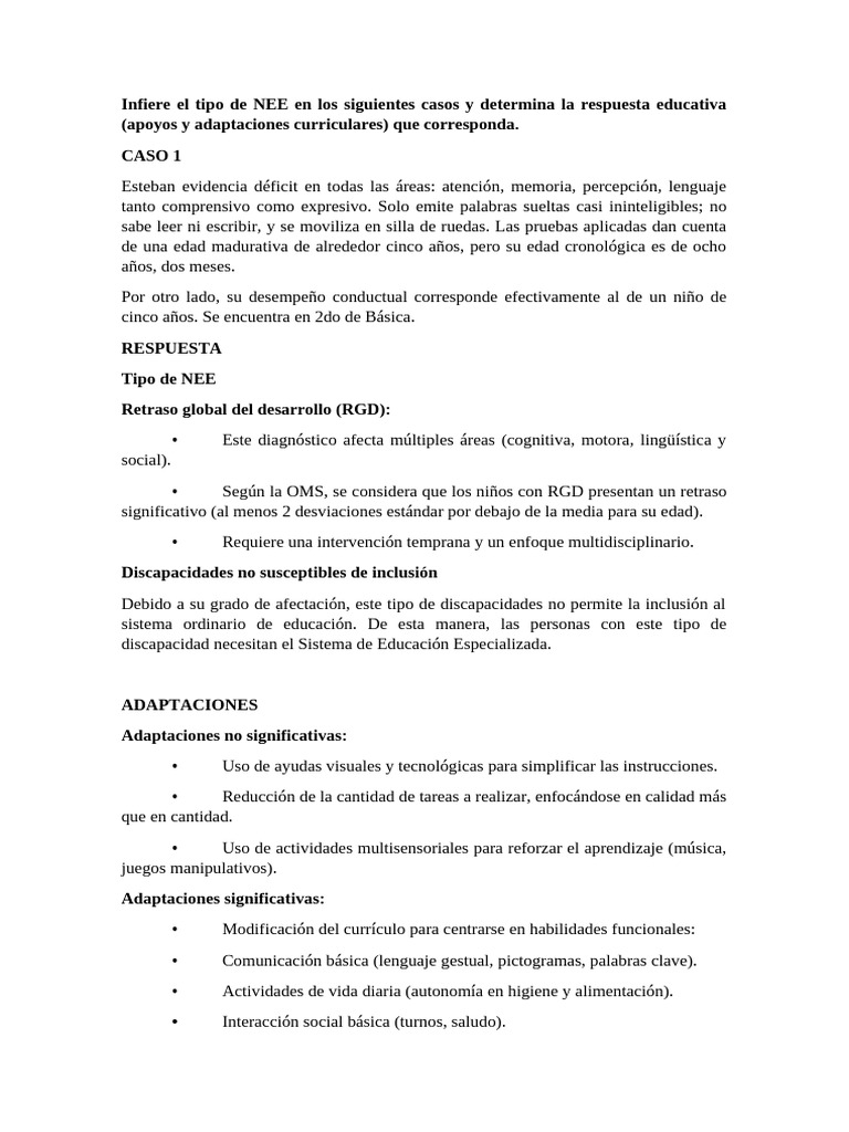 NEE y Adaptaciones para Esteban | PDF | Salón de clases | Invalidez