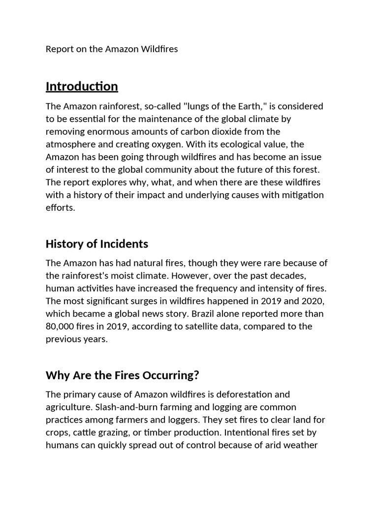 Report On The Amazon Wildfires | PDF | Wildfire | Deforestation