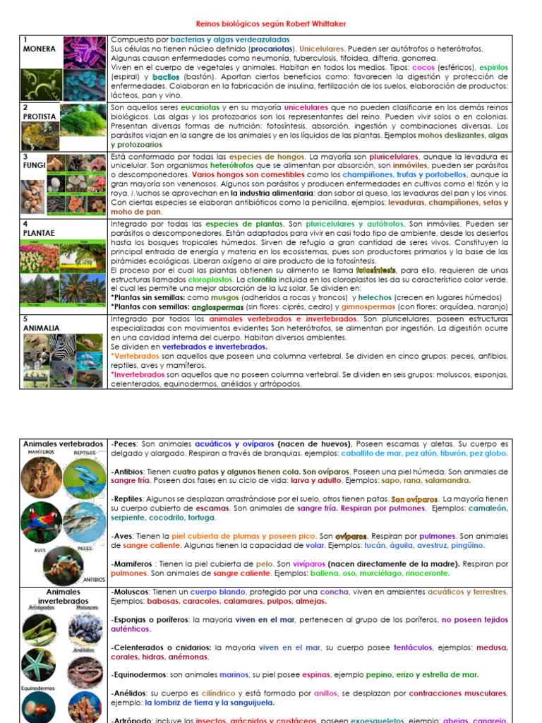 Reinos biológicos: Protistas y ejemplos | PDF | Plantas | Vertebrados