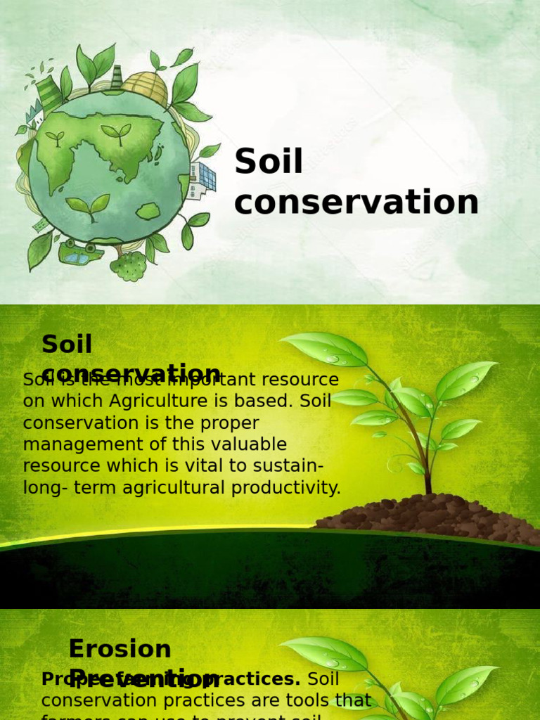 GE9 Soil Conservation Jofelyn | PDF | Soil | Crop Rotation