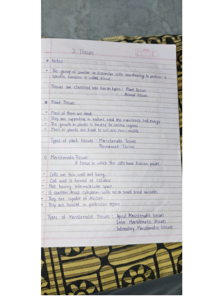 Tissue Notes 1 | PDF