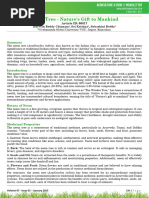 Neem Seed Extract Demonstration Guide | PDF | Agriculture
